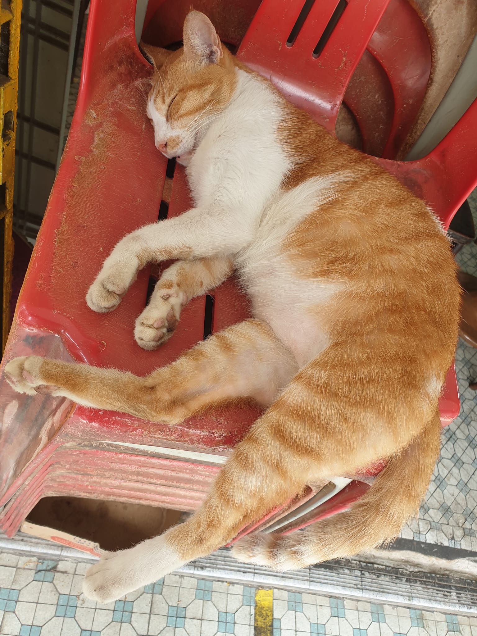 Restoran Sin Hiap Kee