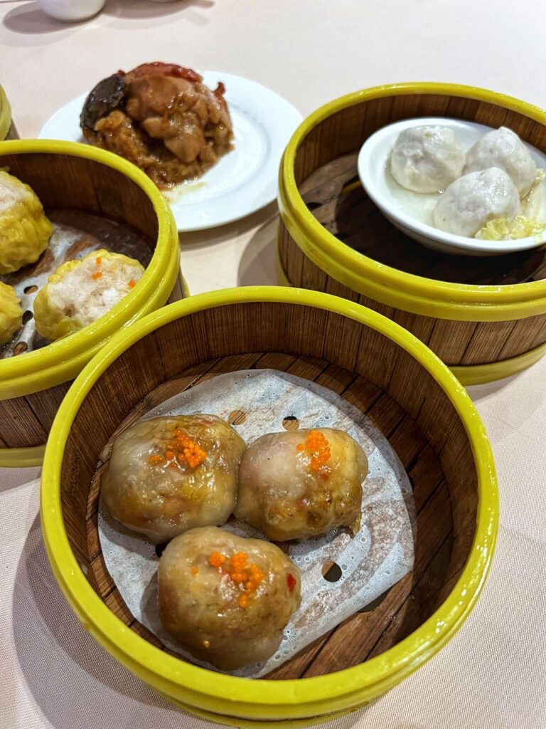 the_han_room_dimsum_nov2023_vk_01