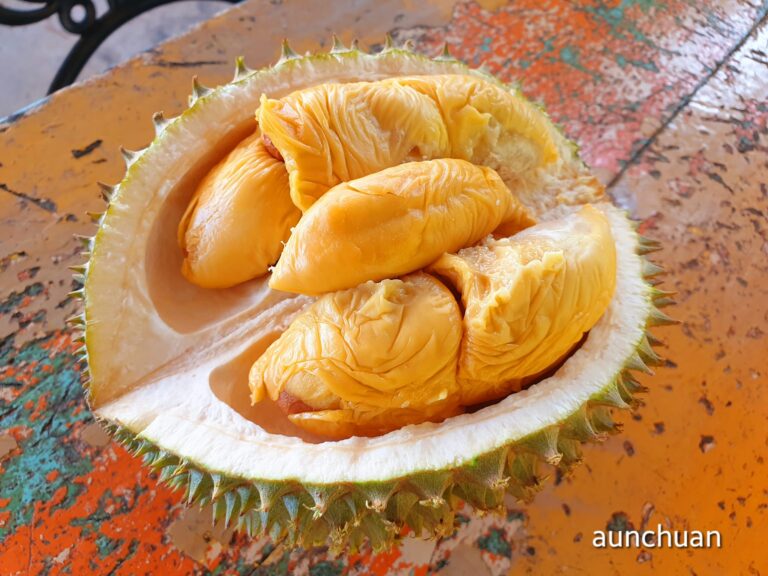 Where to Eat Durian in Penang