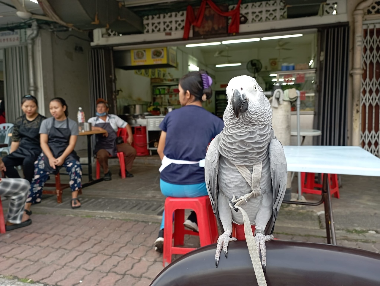 Sun Fatt Kopitiam