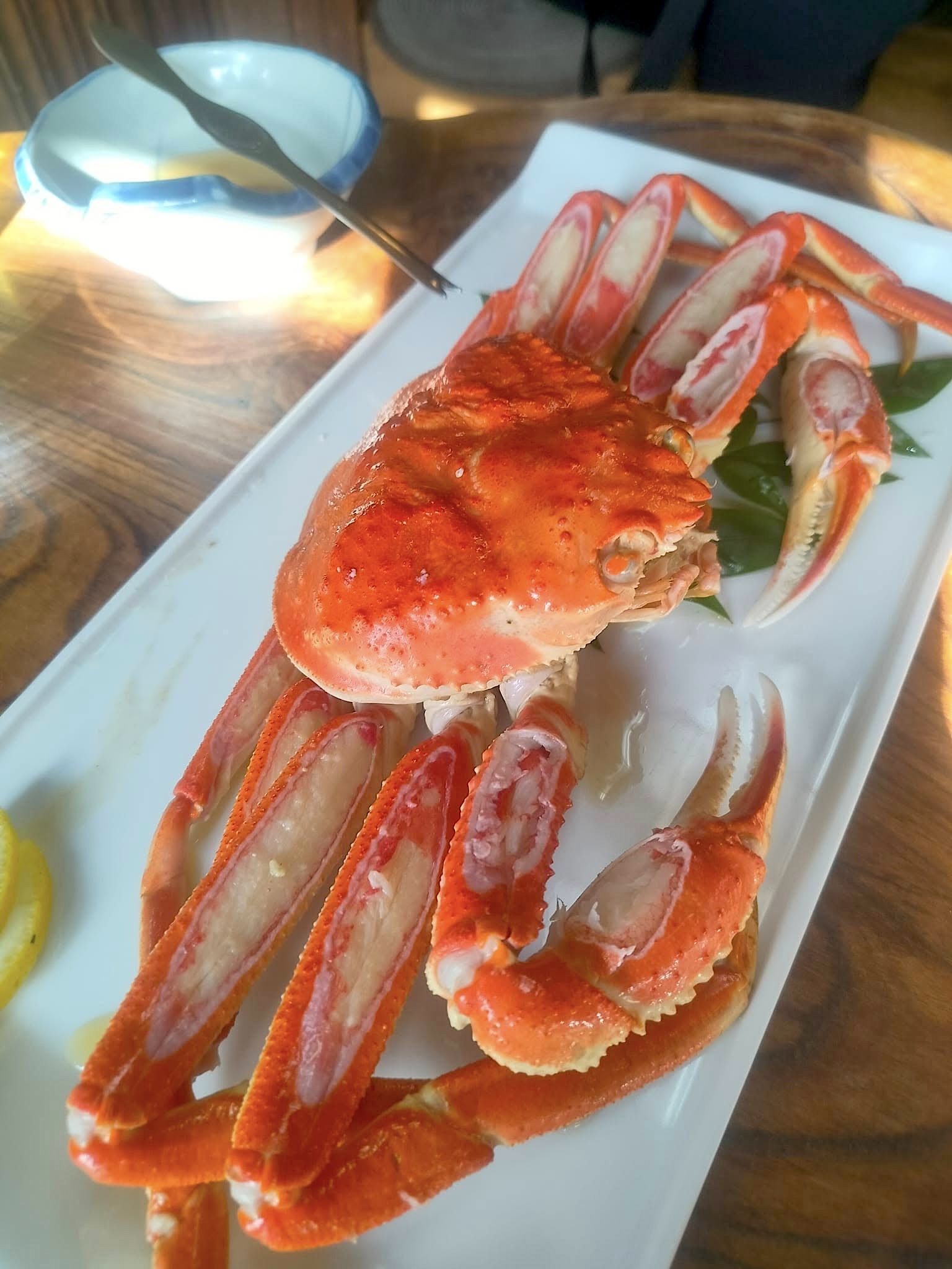 Tondaya Lunch Chiefeater