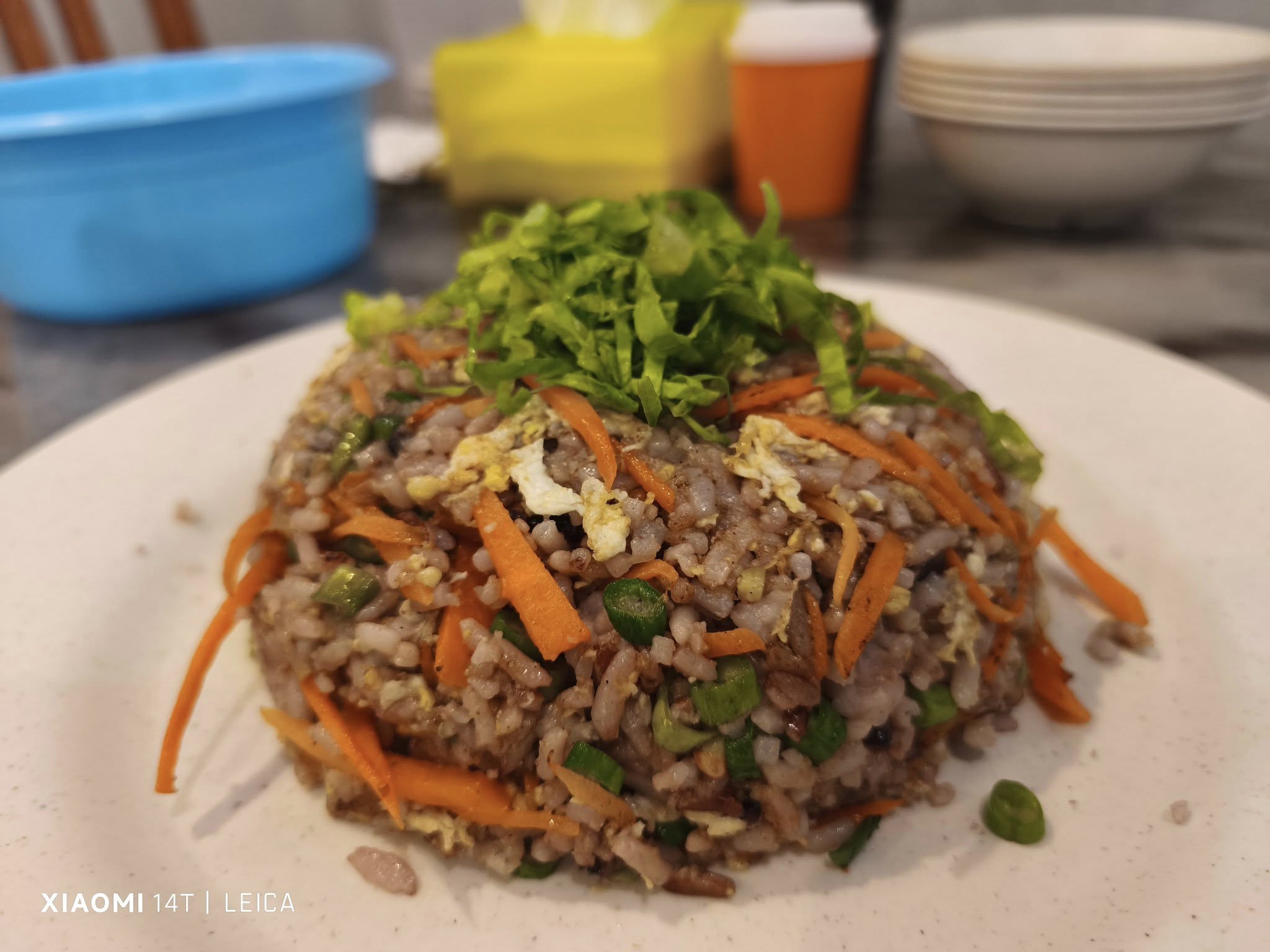 jujube vegetarian house