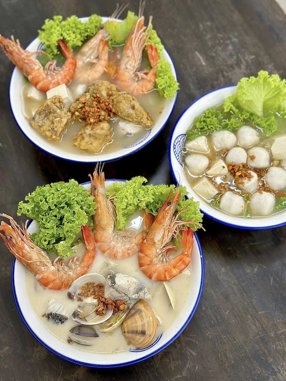 dolphin_fish_head_noodle_apr2025_connietss_01