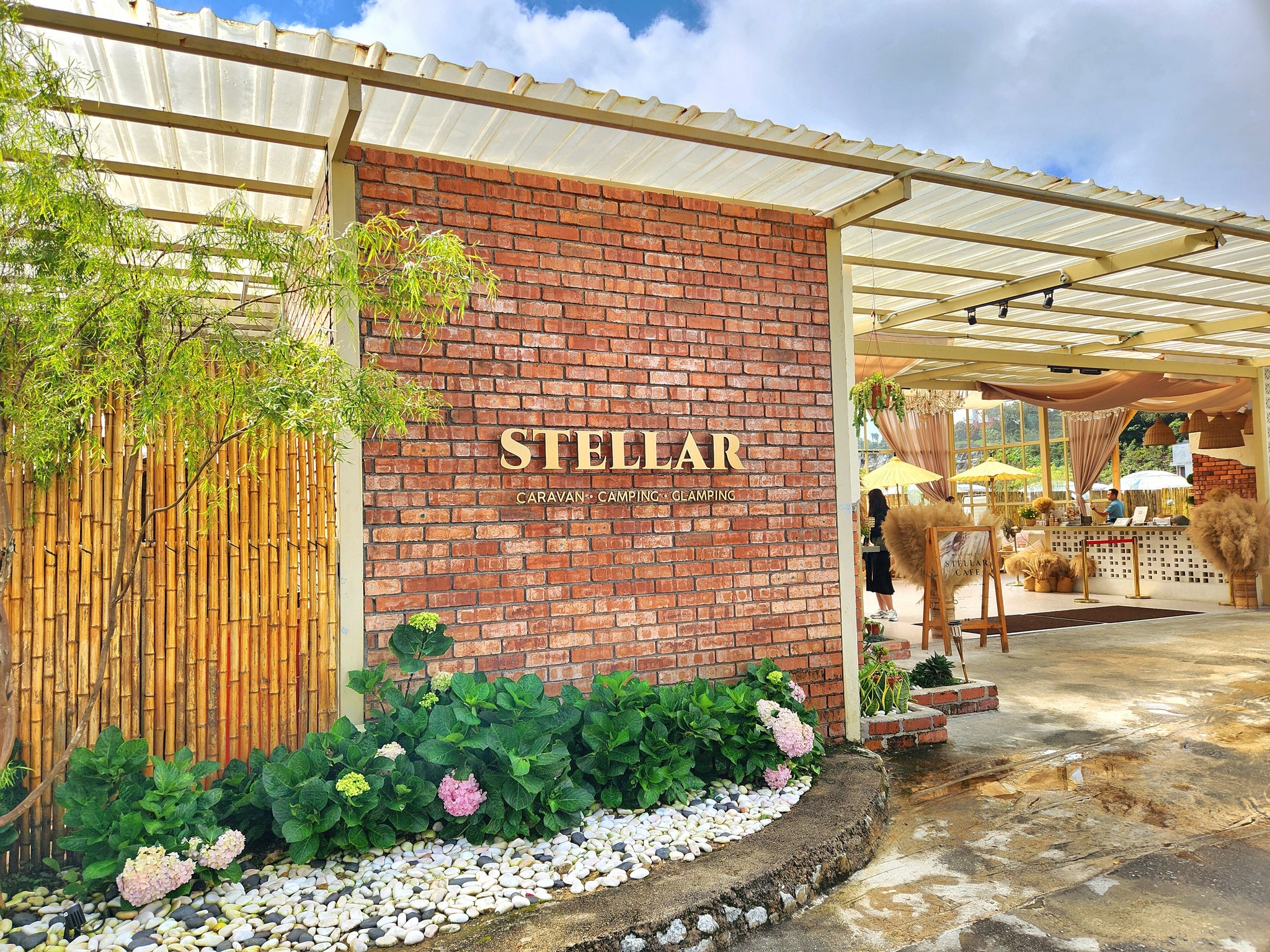 stellar cafe