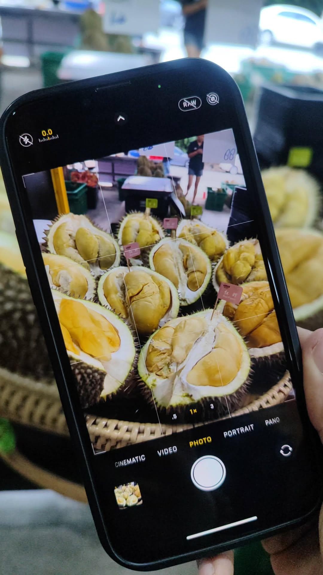 durian_kaki_jun2025_davidquah_02