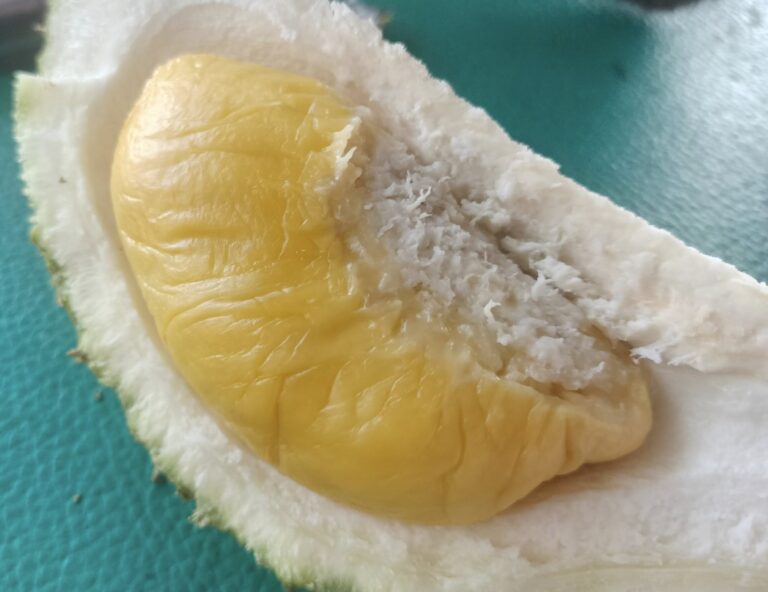 Where to Eat Durian in Melaka