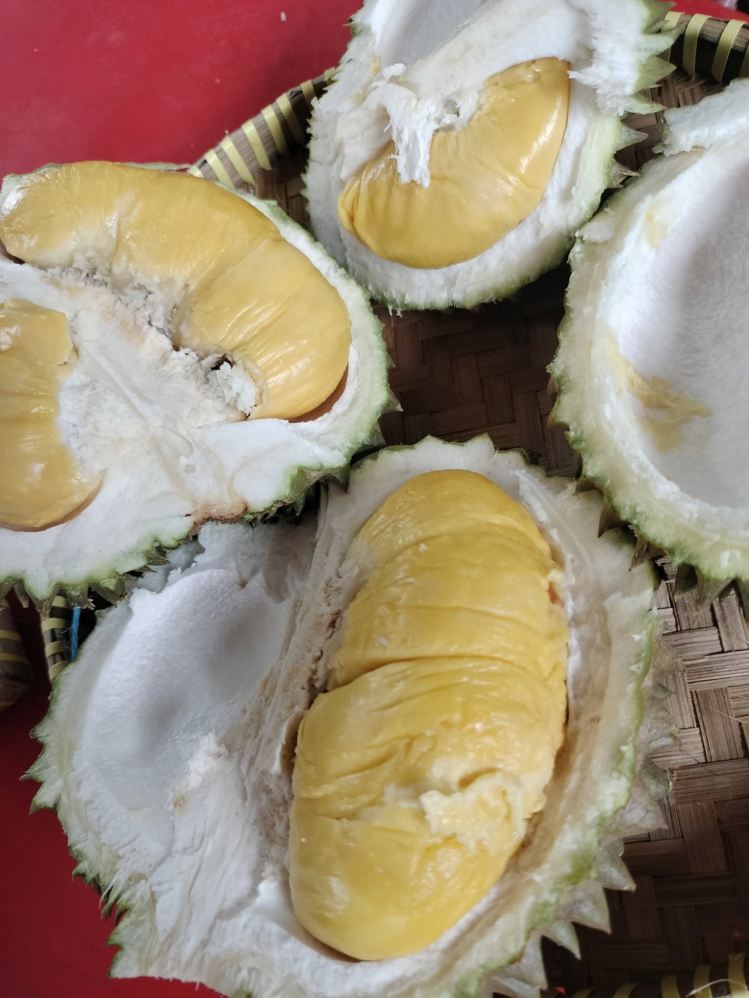 charlie_durian_farm_jul2025_taikweefatt_03