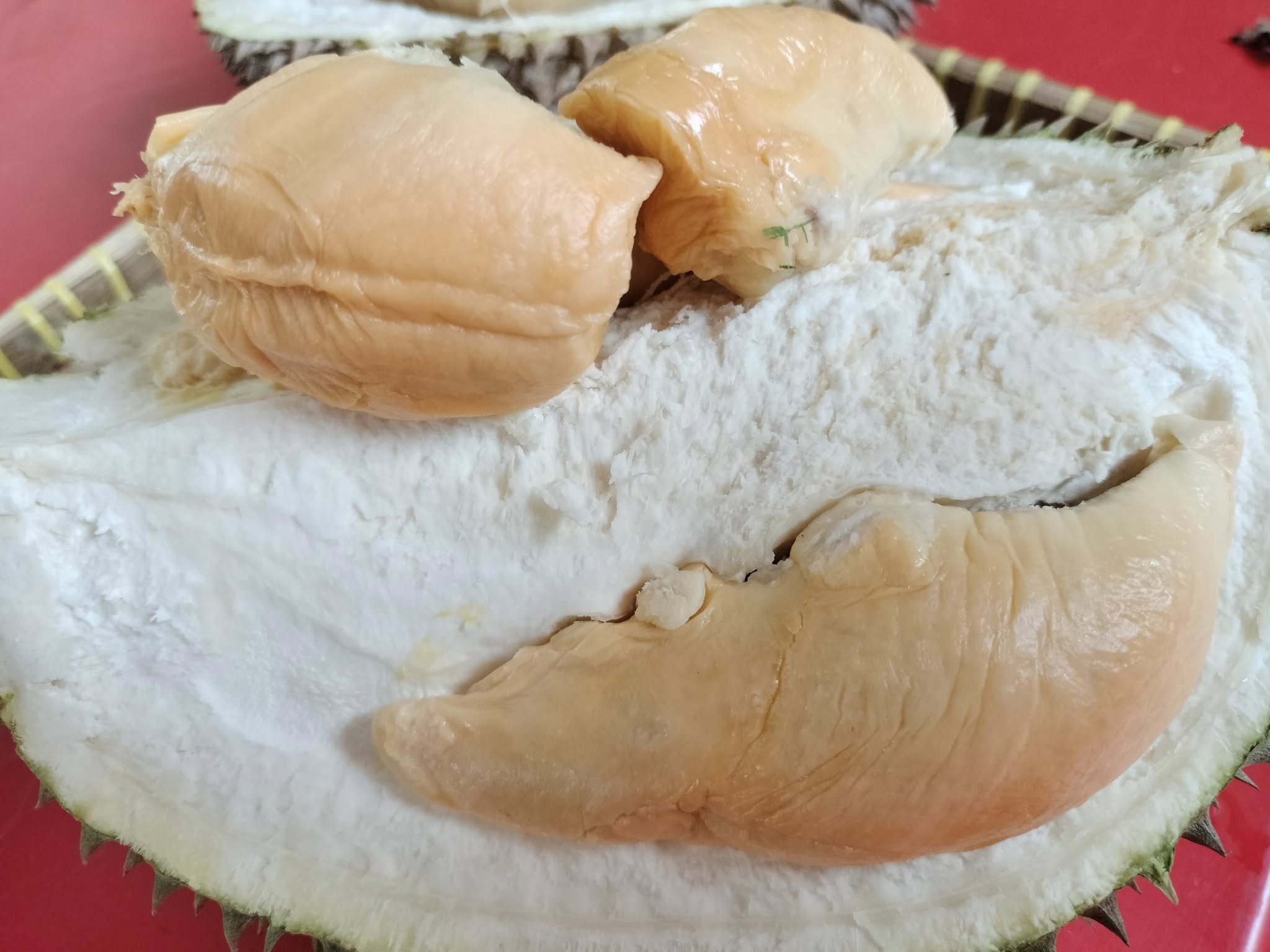 charlie durian farm