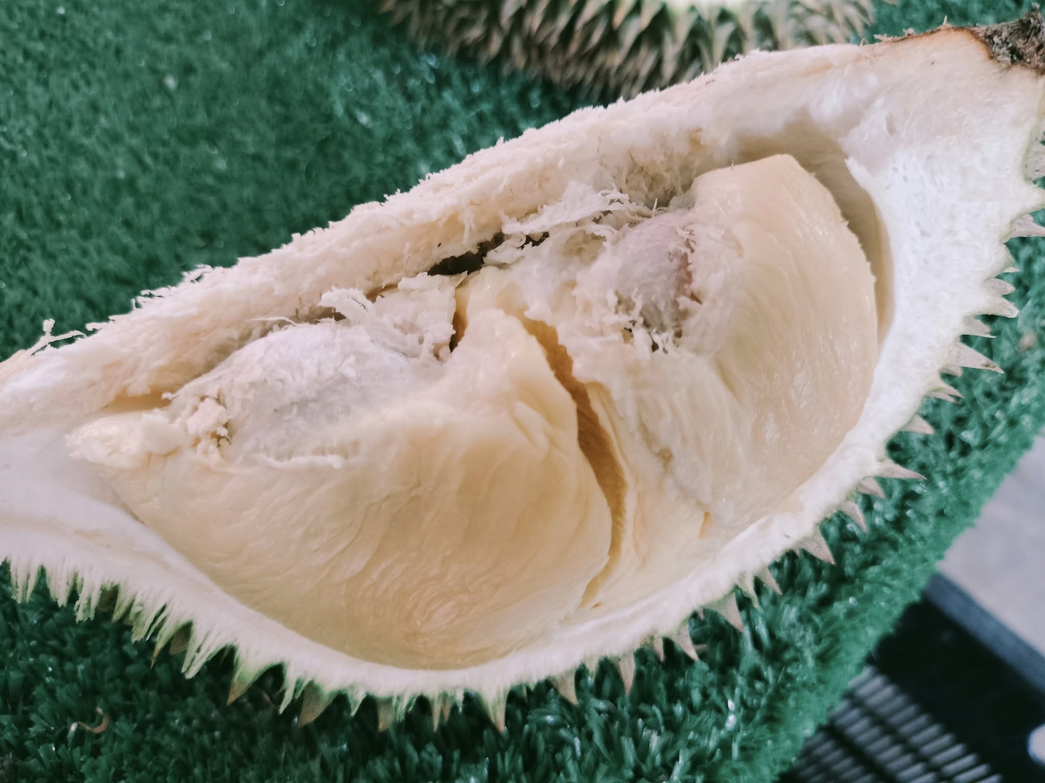 charlie durian farm