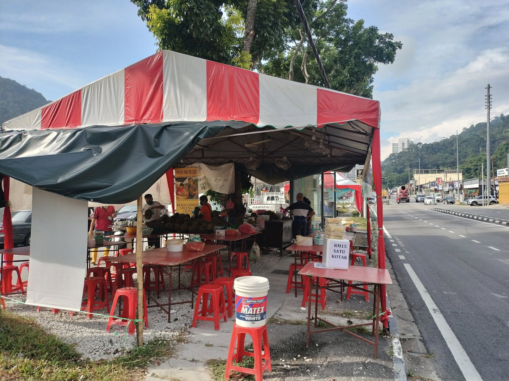 kebun durian choong