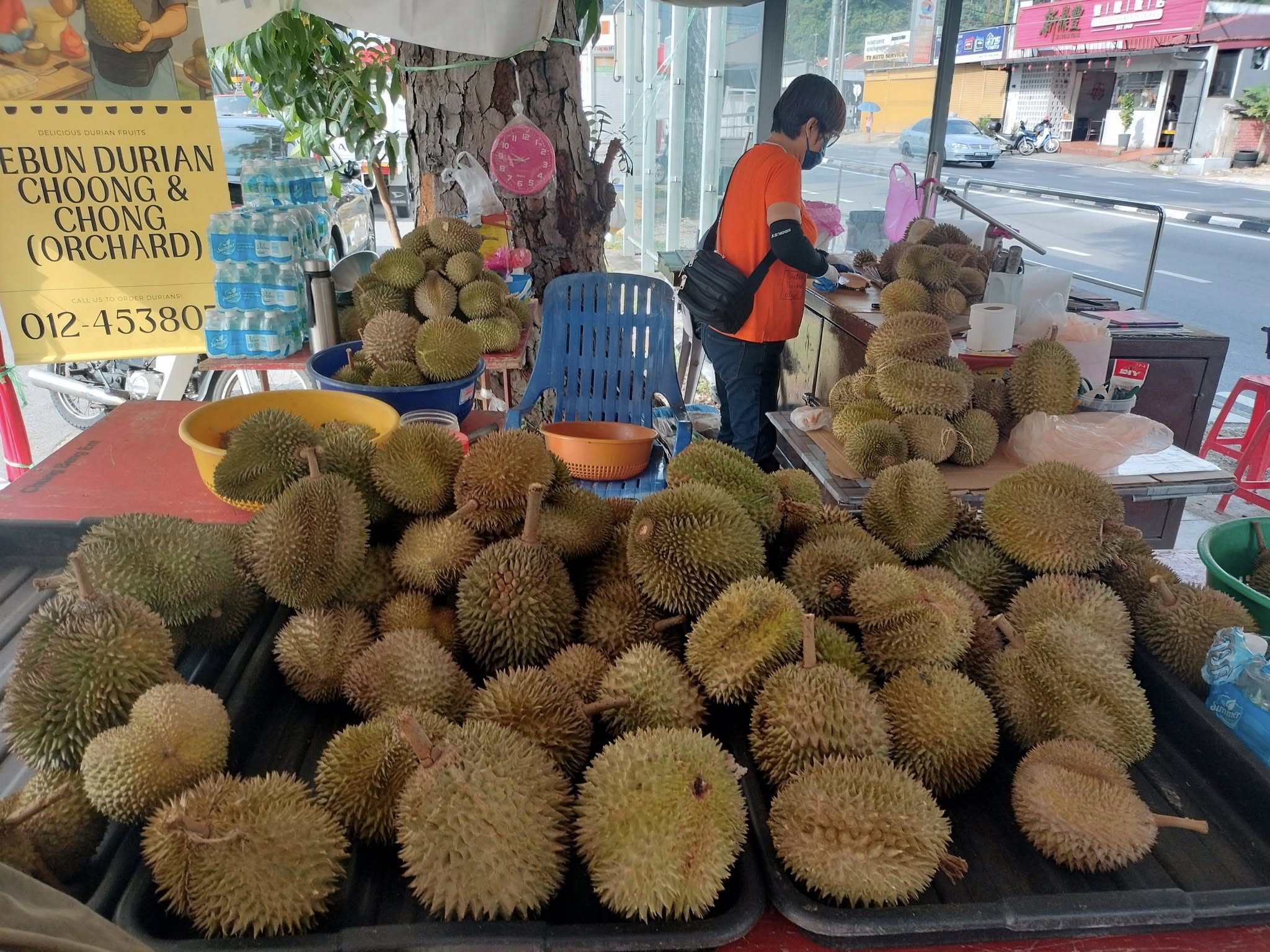 kebun durian choong