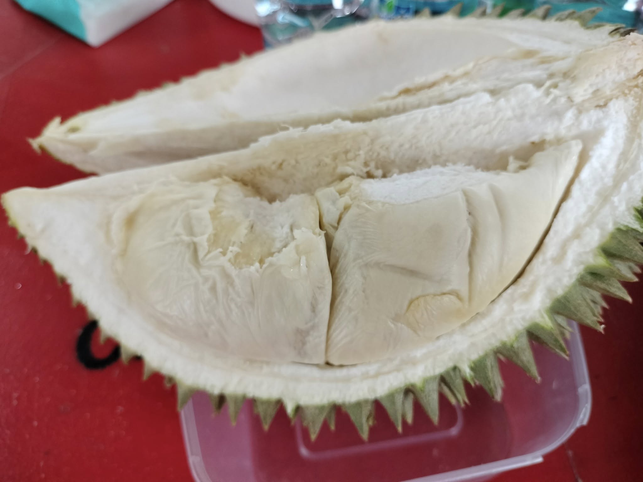kebun durian choong