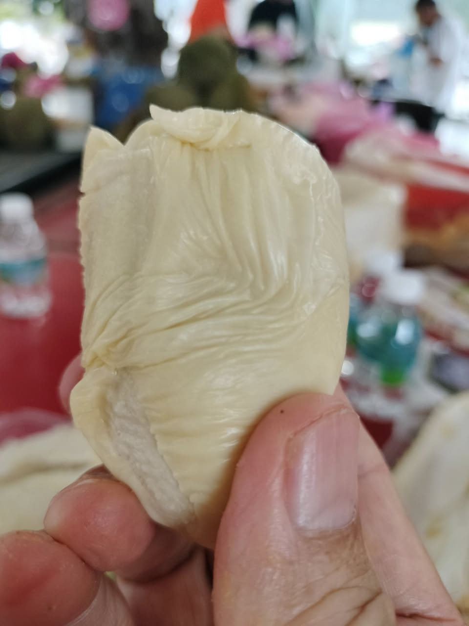 kebun_durian_choong_jul2025_taikweefatt_04