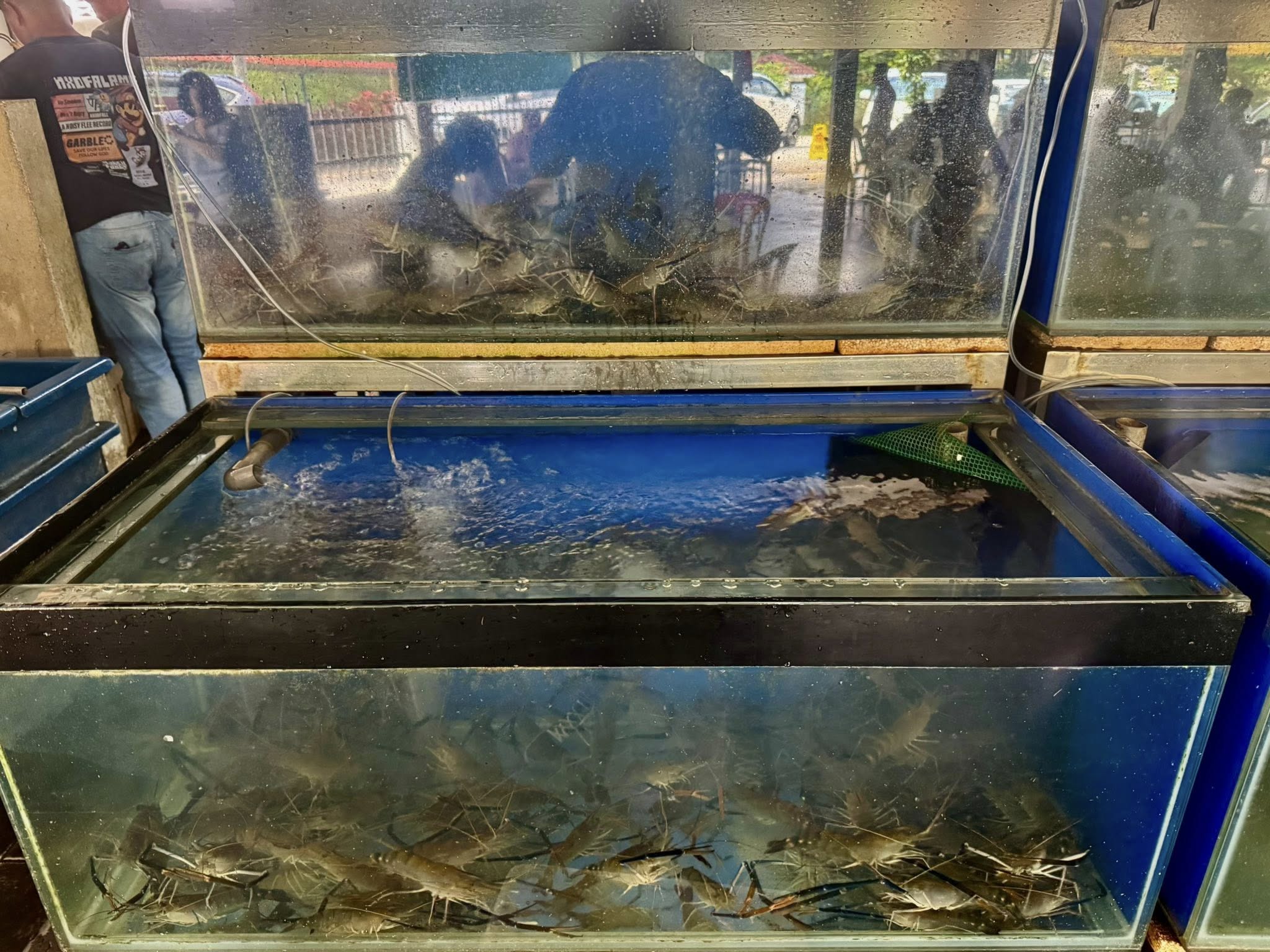 restaurant shi zhi wei