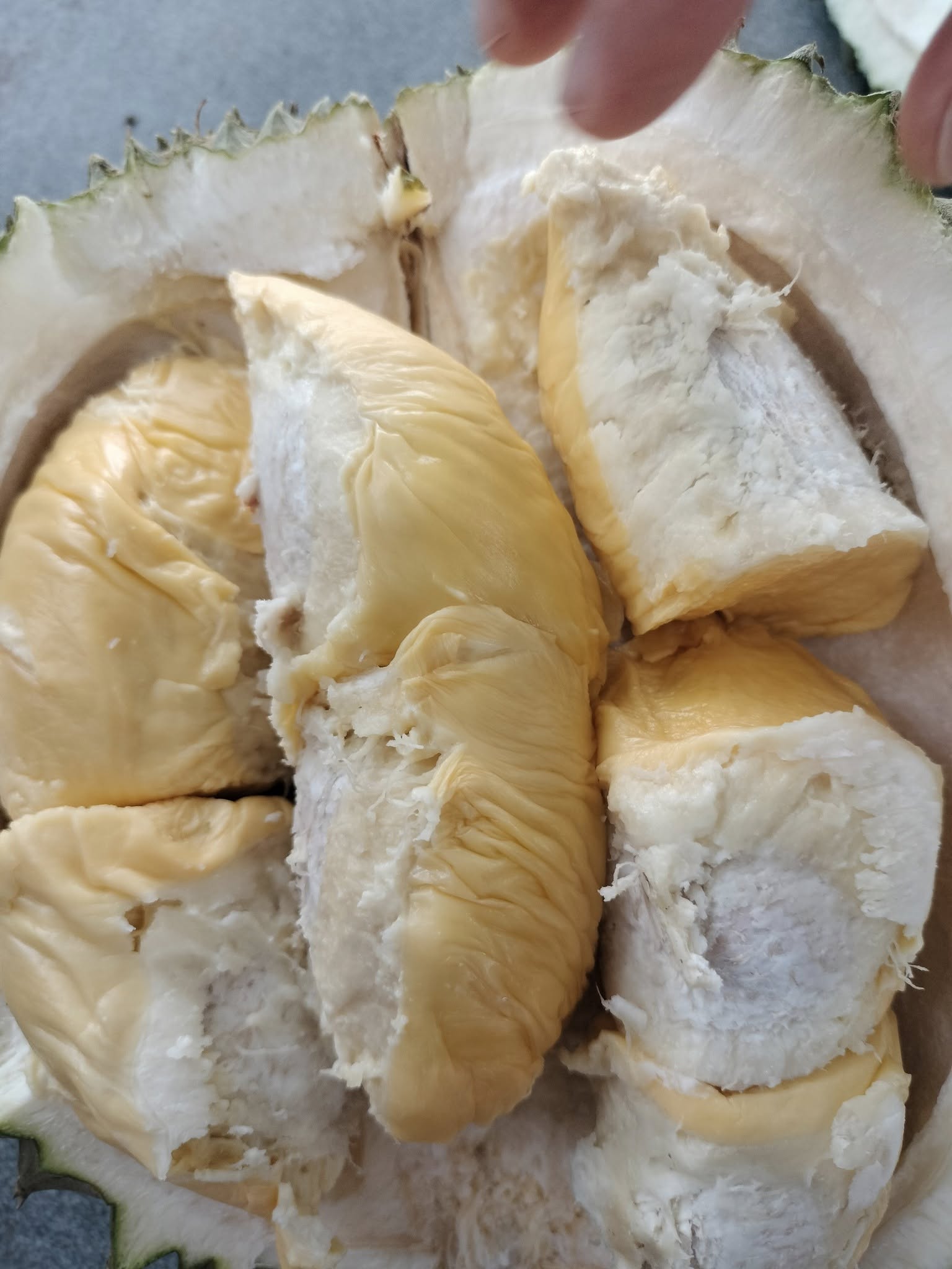 suling_hill_jul2025_taikweefatt_01