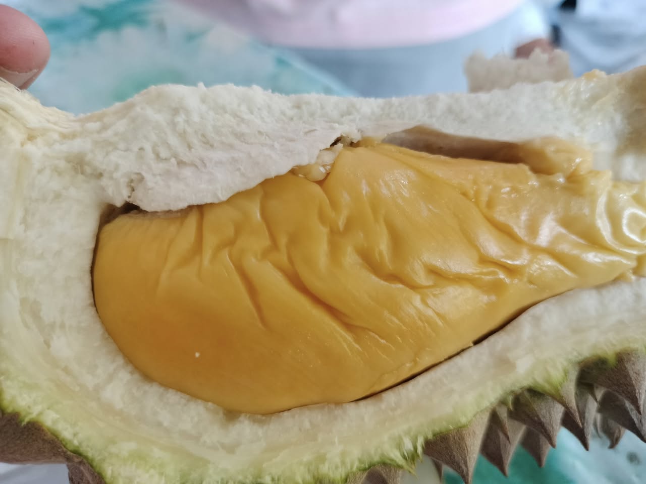 uncle_loy_durian_farm_jul2025_taikweefatt_03