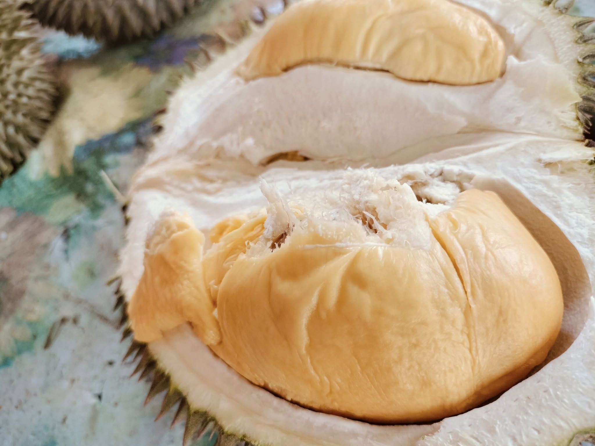 uncle loy durian farm