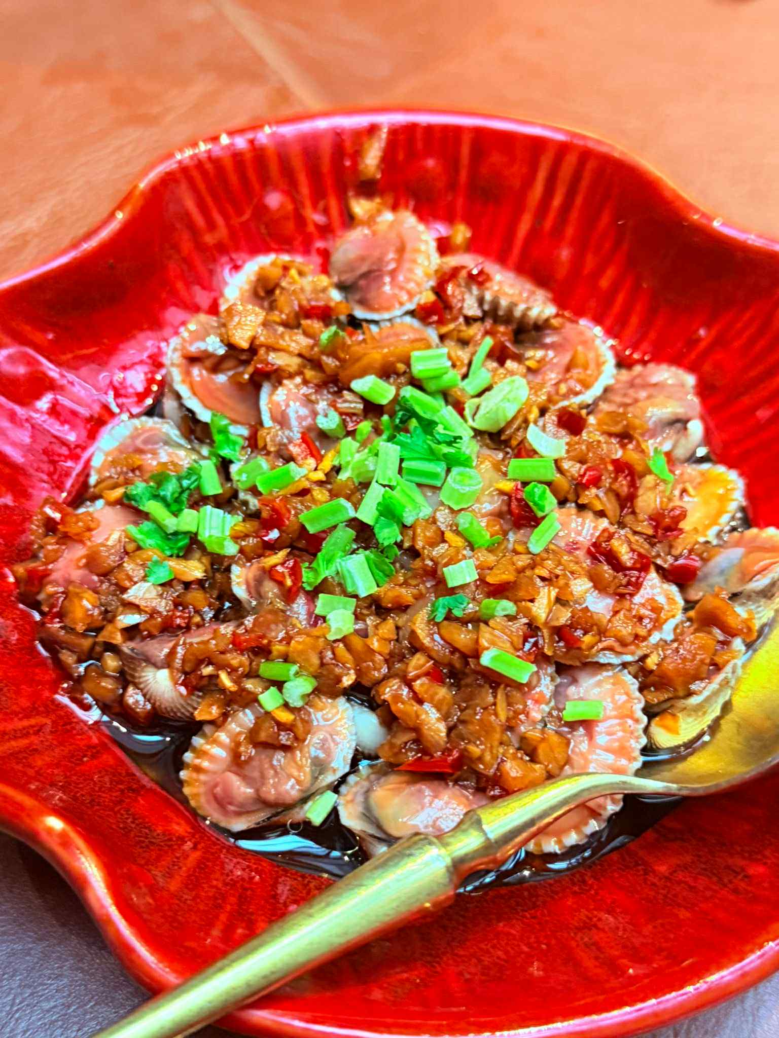 shao_holland_village_aug2025_lukesoon_02