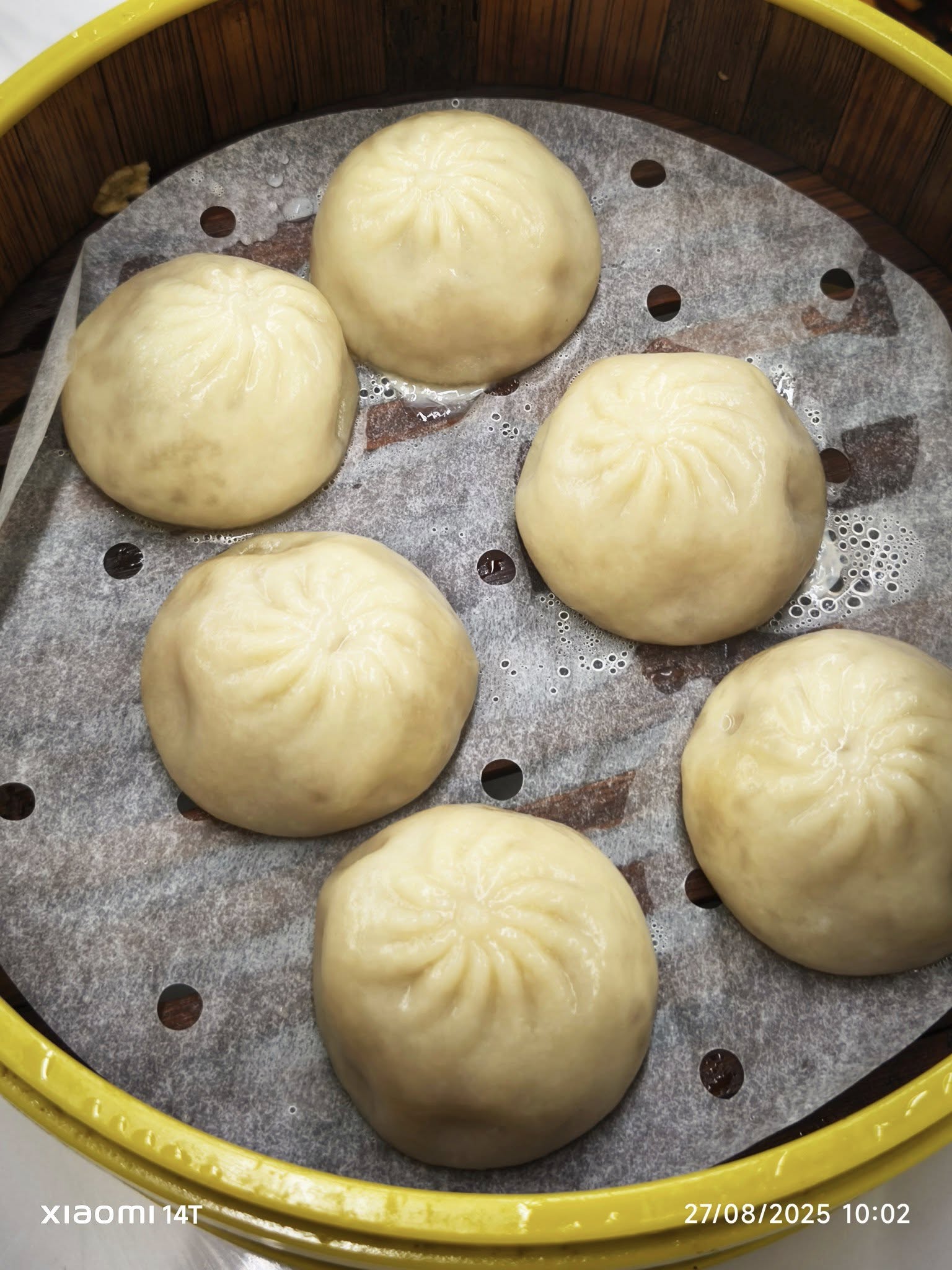 dai ka song kaw kaw kopi