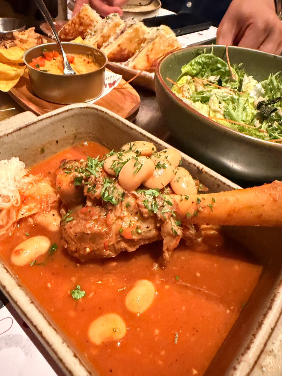 picaro_oct2025_mikoteck_05a