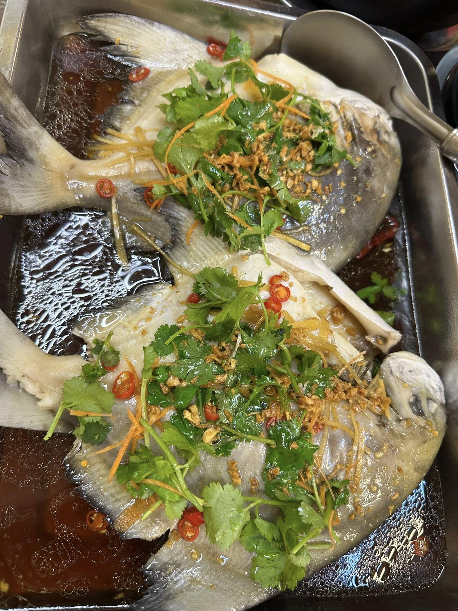 jet_mei_seafood_restaurant_nov2024_jasonjoo_07