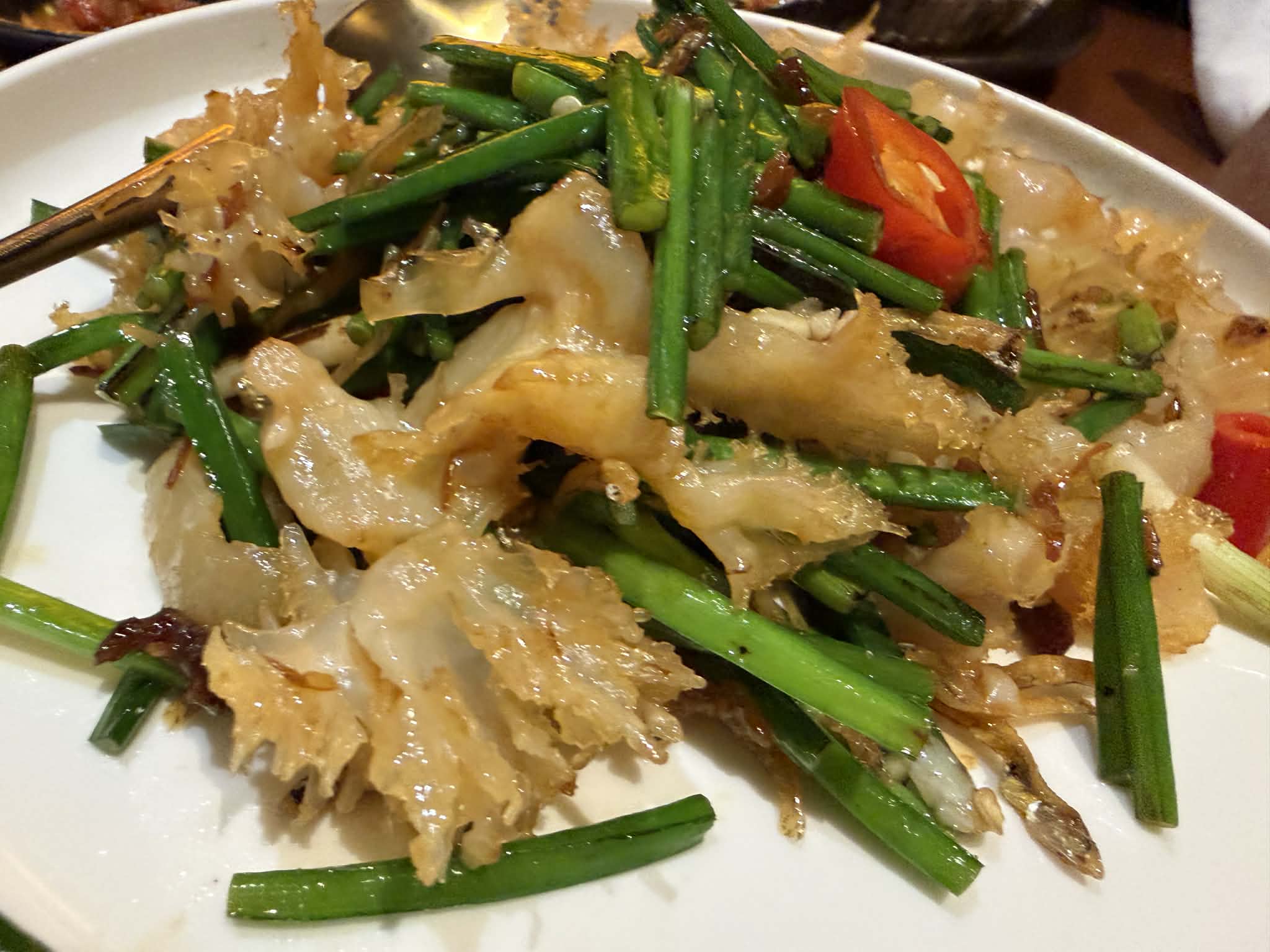 shao_holland_village_nov2025_lukesoon_06