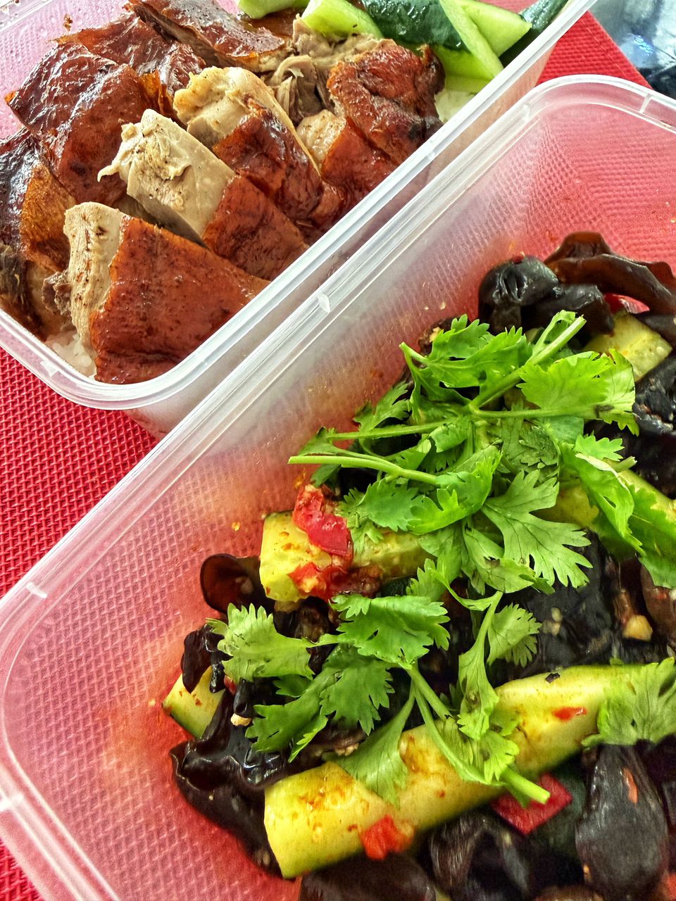 taste_of_duck_nov2025_vk_01