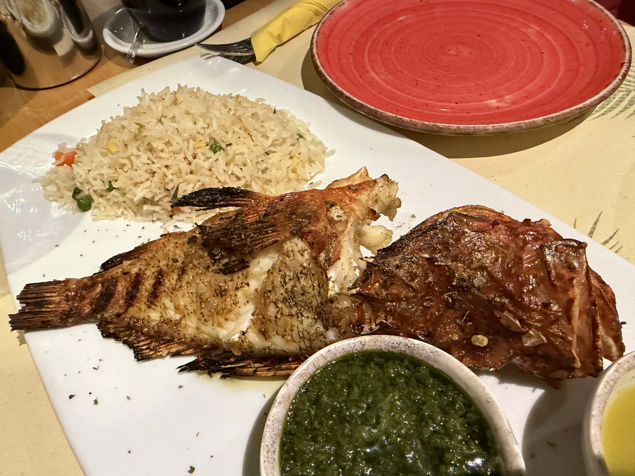 pelican_kipos_dec2025_lukesoon_04