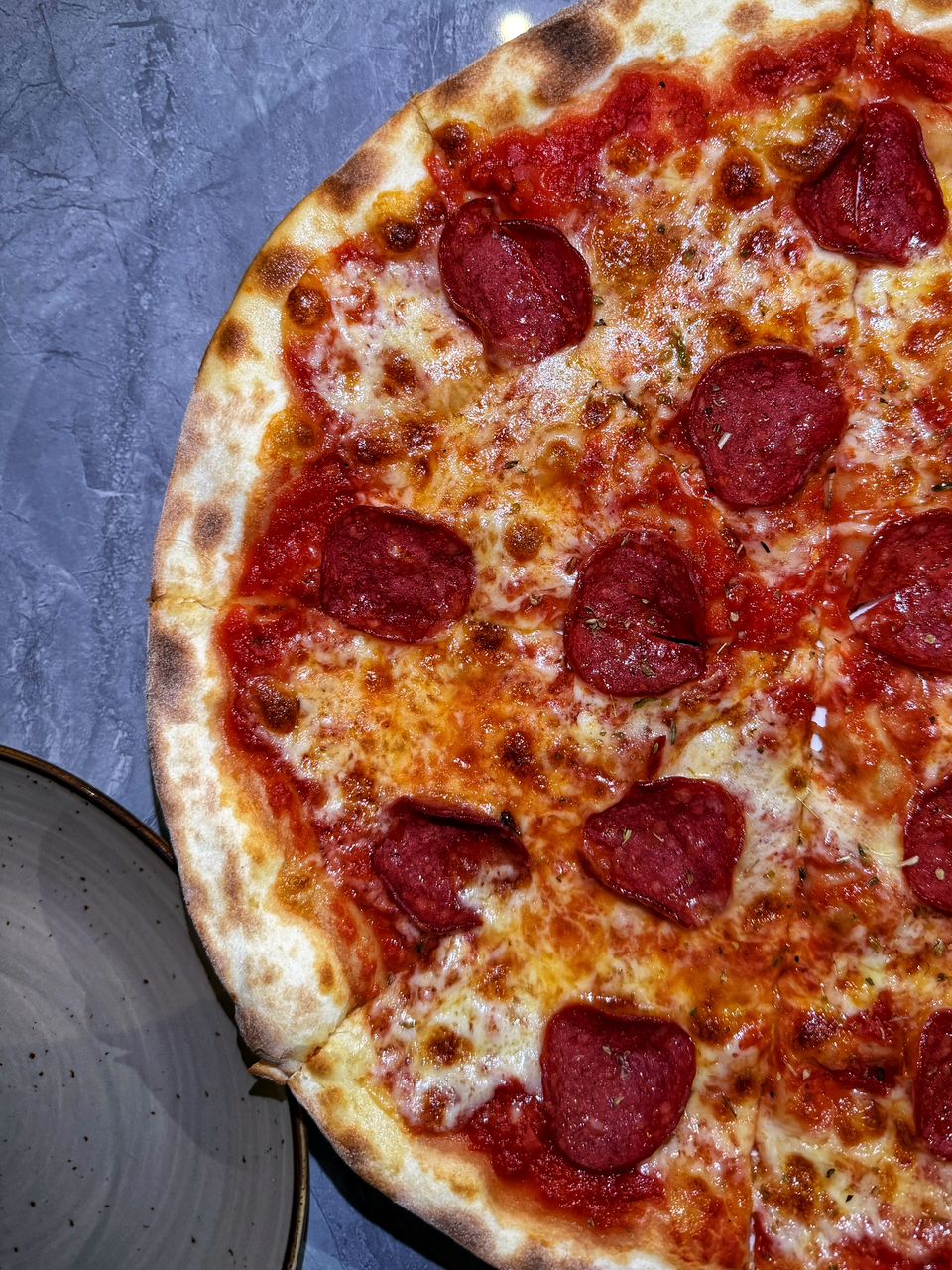 seppia_polpo_starling_mall_dec2025_vk_02