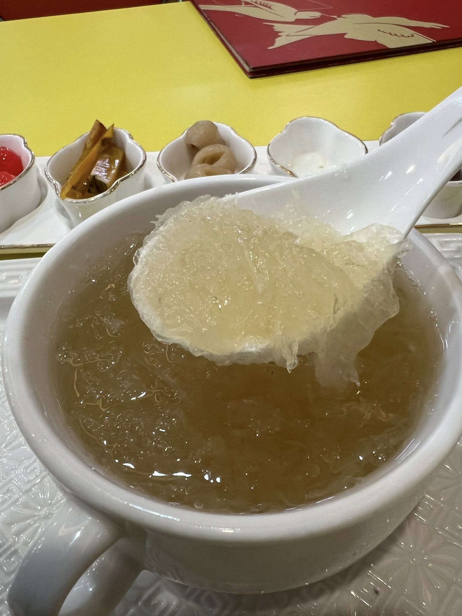 jumama_birdnest_jan2026_williamtan_02