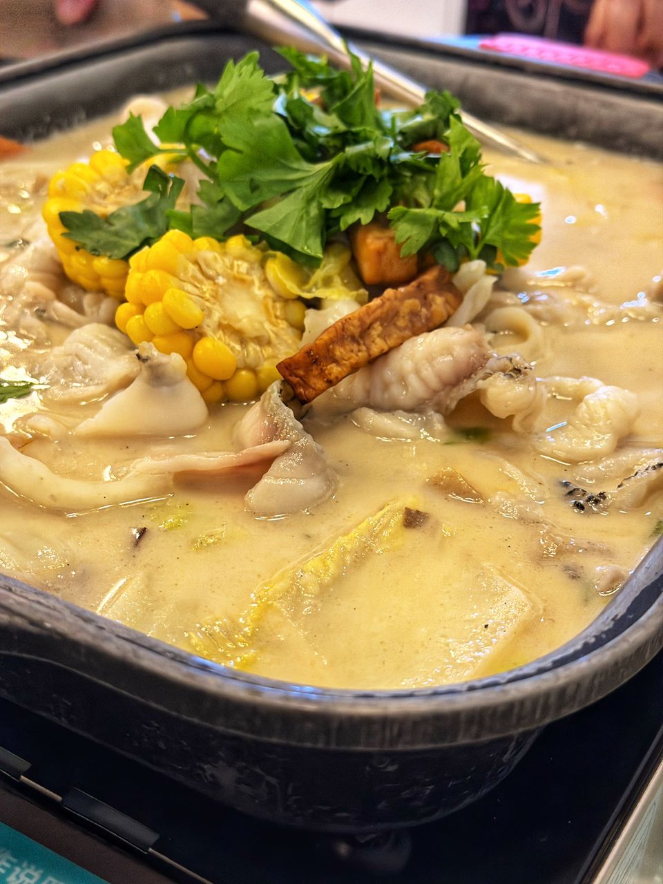 luckypot_ss2_jan2026_vk_02a