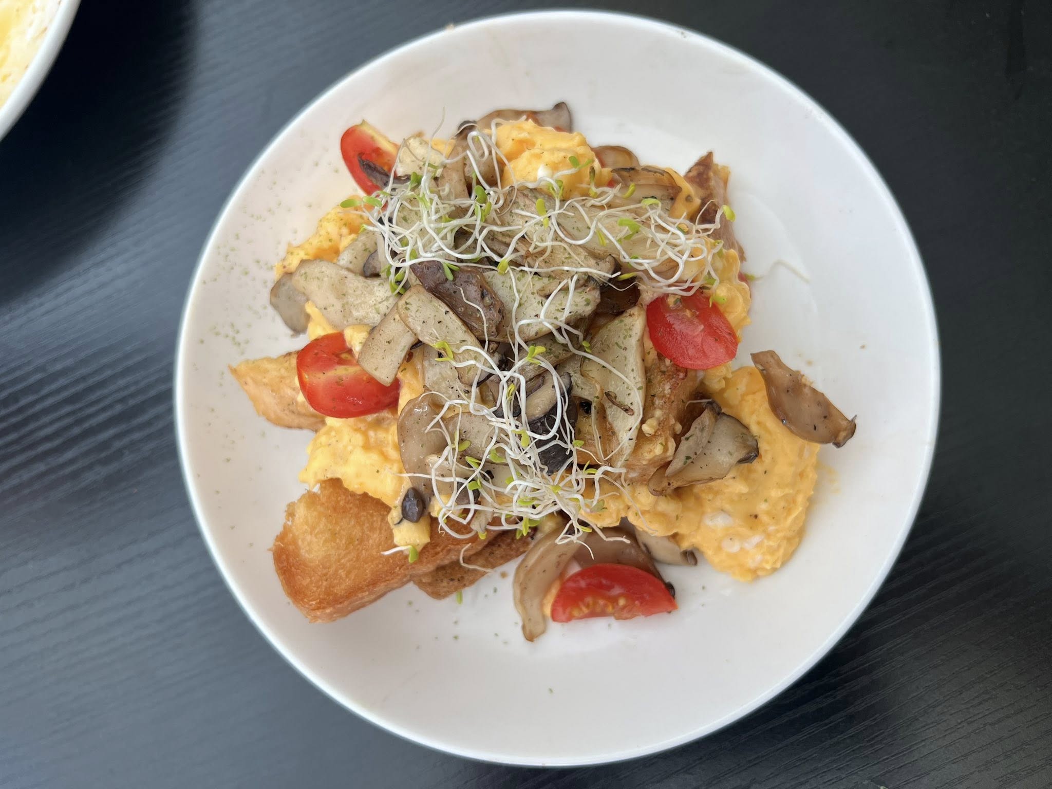 toastie_toastie_feb2026_williamtan_03