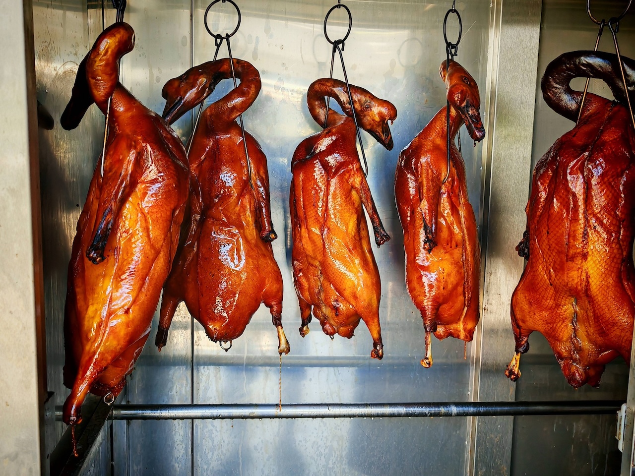 yi_ding_u_cuisines_feb2026_jotarozen_02