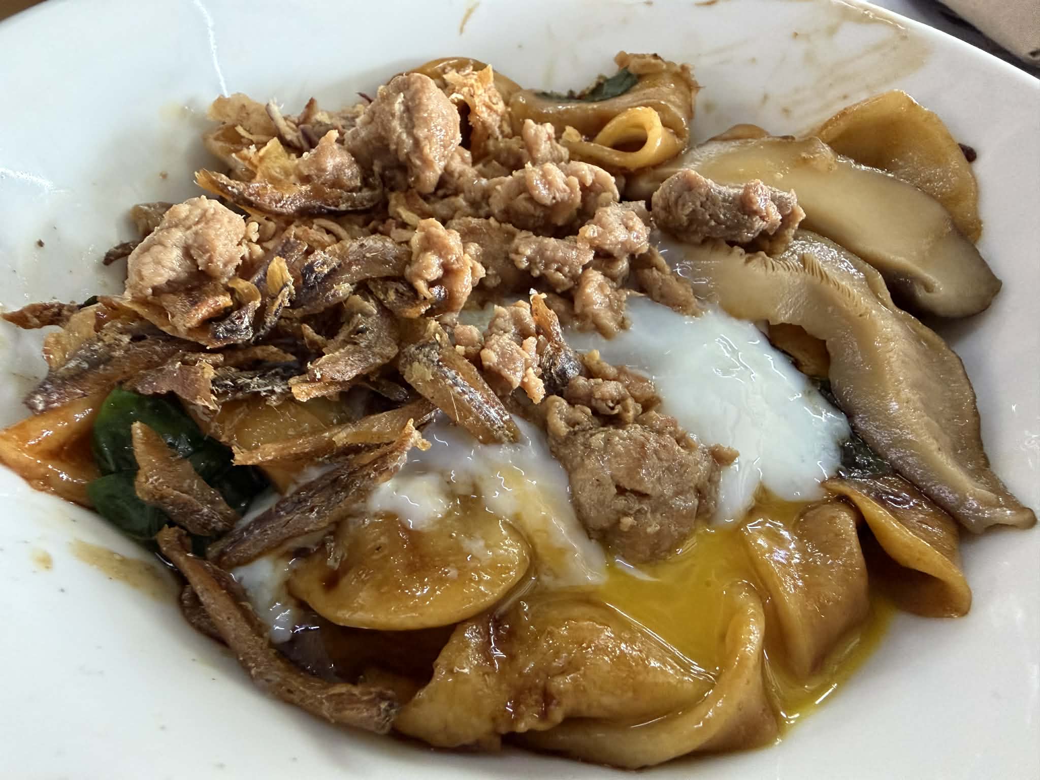 lu_cai_ying_mar2026_lukesoon_03