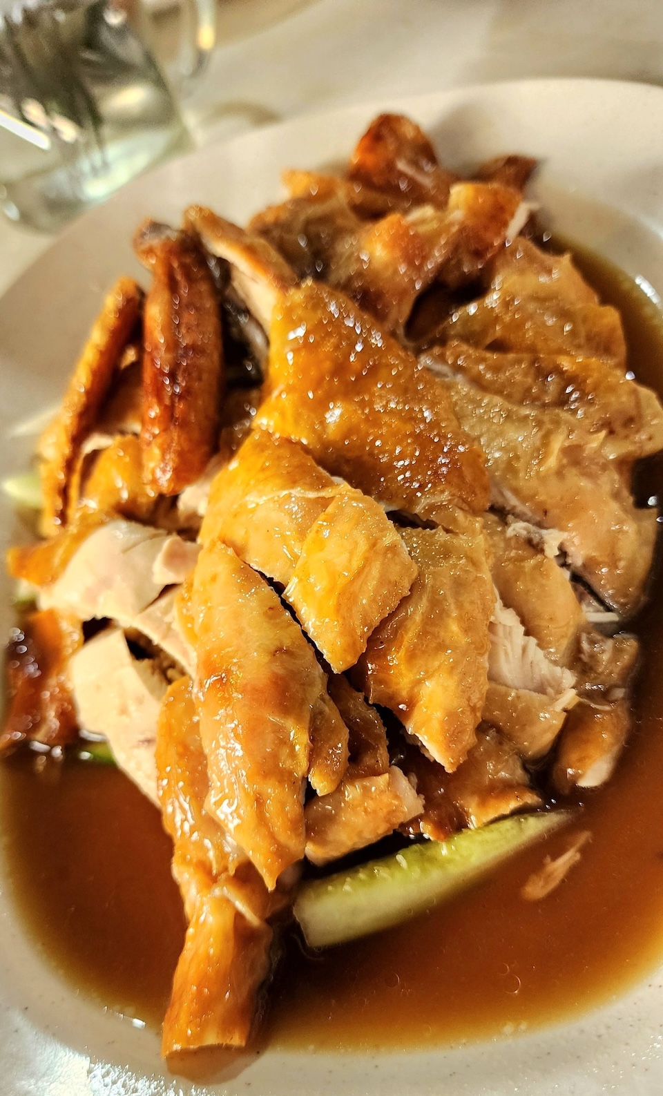 yum_yum_foodster_mar2026_kcyan_01