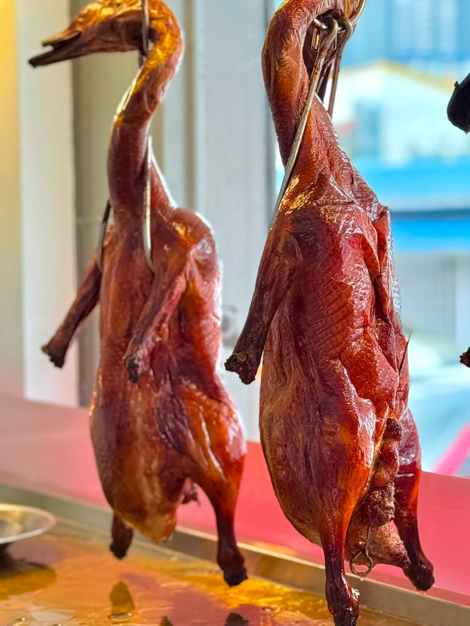 choy_kee_roast_duck_jun2026_stevencttea_04