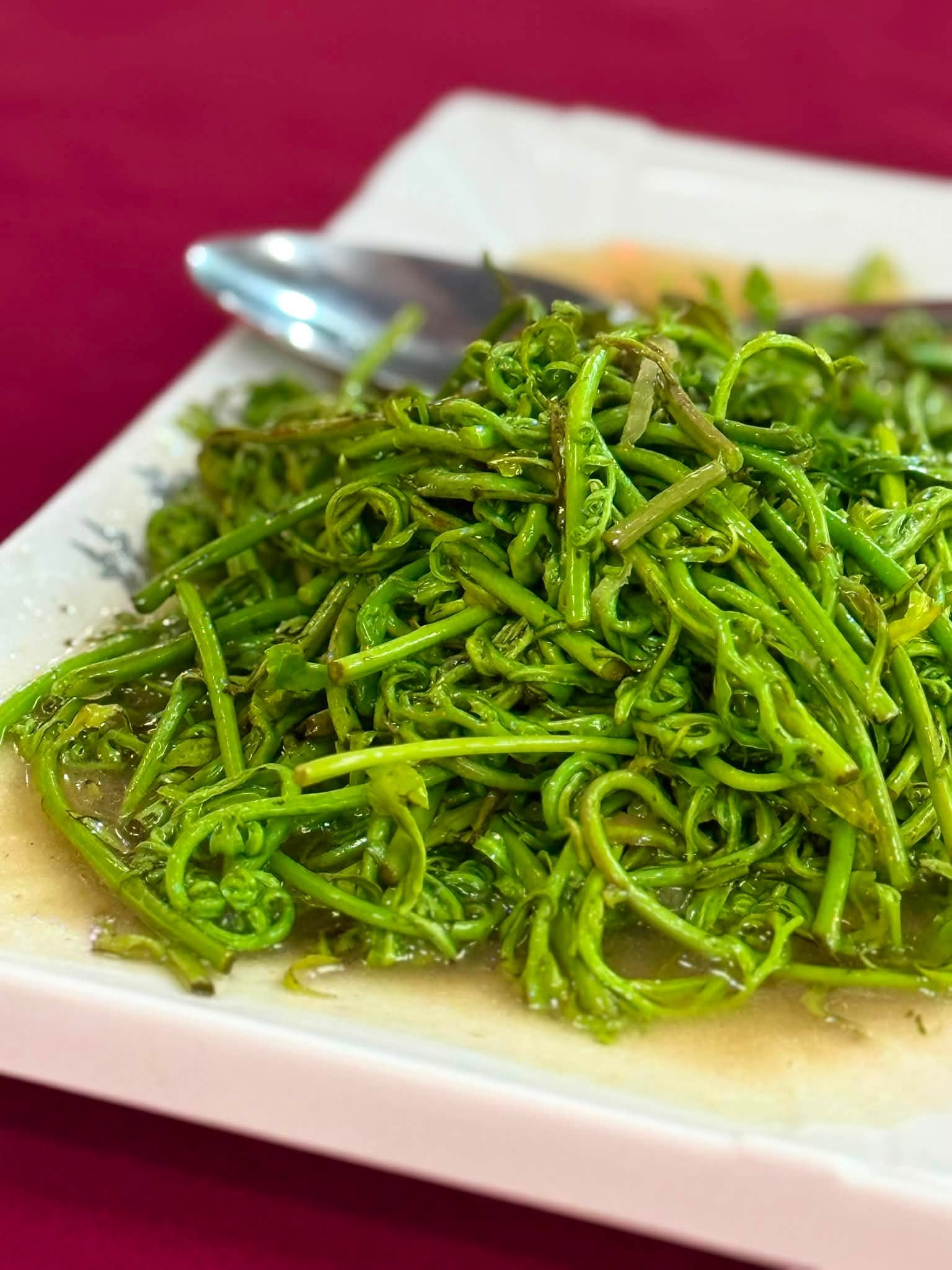8_lintang_yuan_aug2026_stevencttea_02