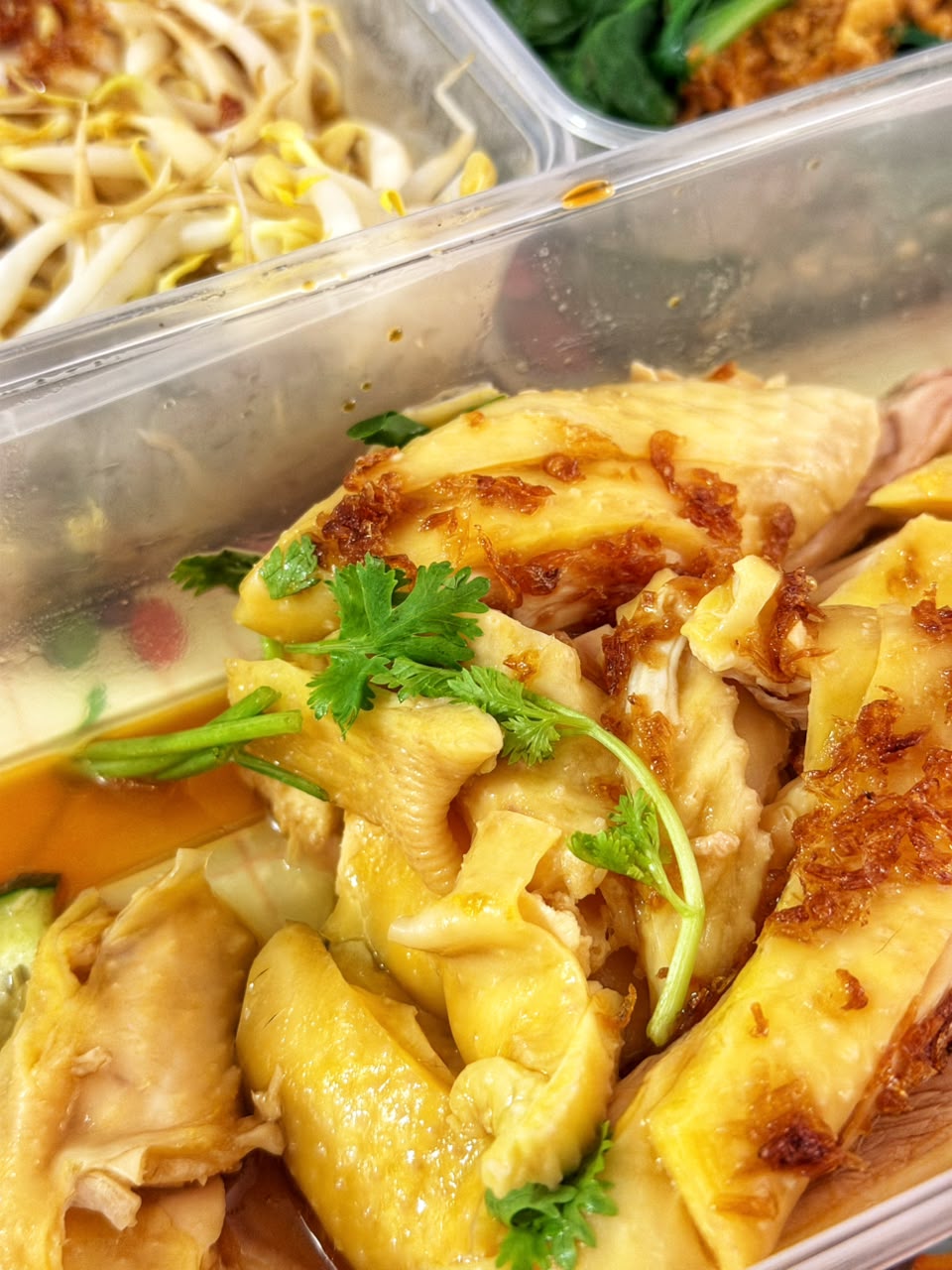 chicken_rice_hub_ss15_aug2026_vk_05a