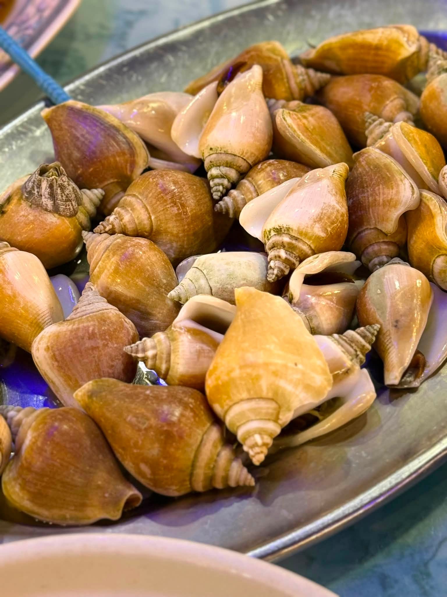 good_view_seafood_restaurant_aug2026_stevencttea_02
