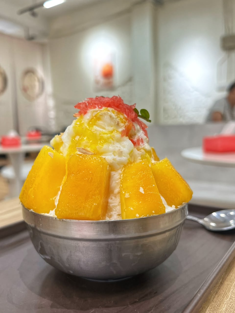 snow_ice_house_aug2026_vk_02