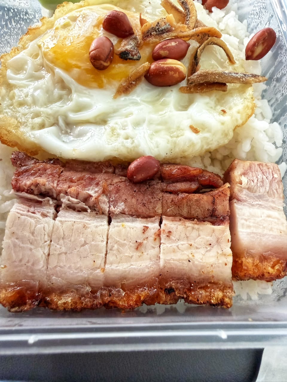 thong_kee_puchong_pork_nasi_lemak_jul2026_vk_02
