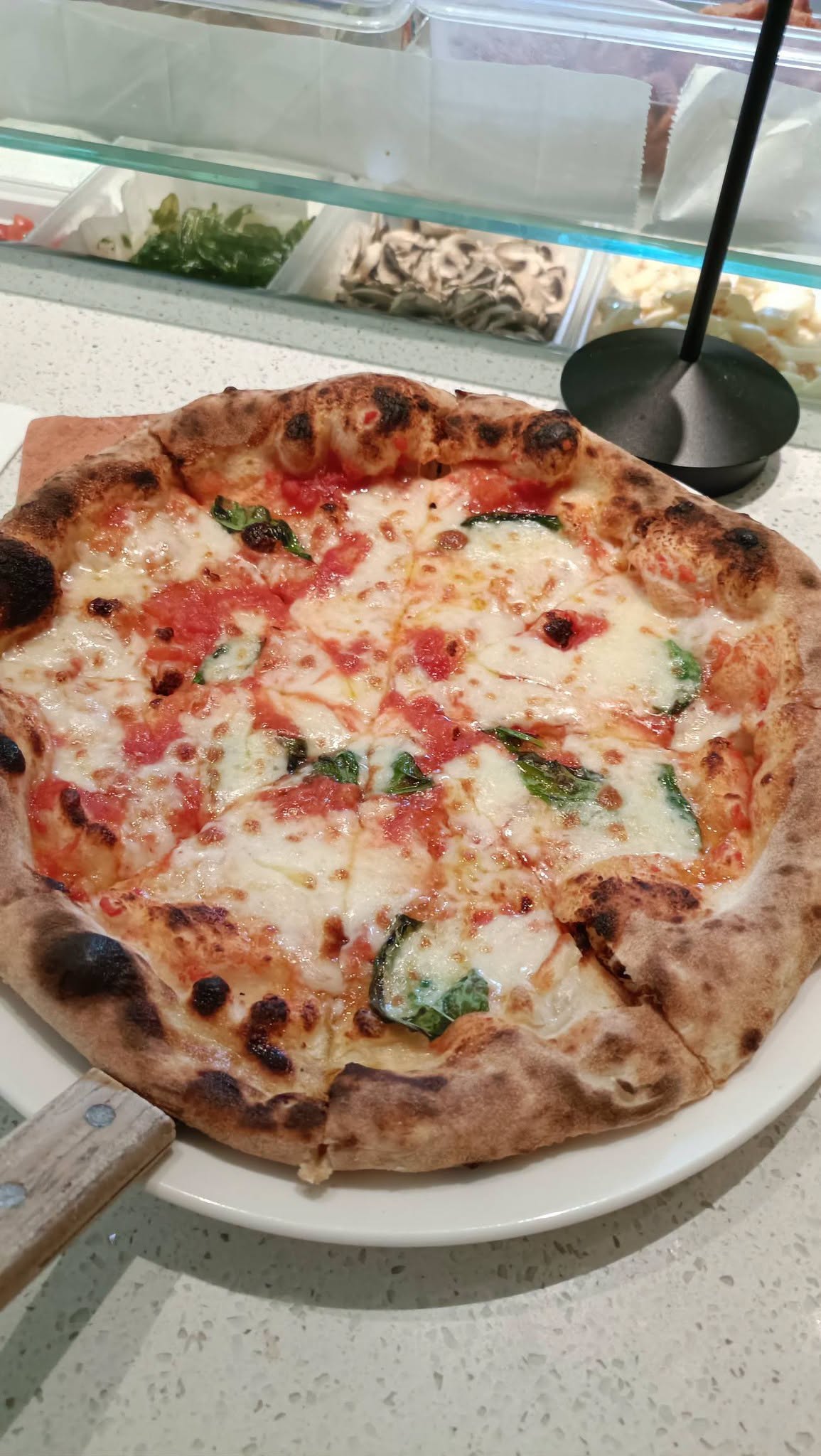 bacio_italian_kitchen_sep2026_yongchoypeng_02
