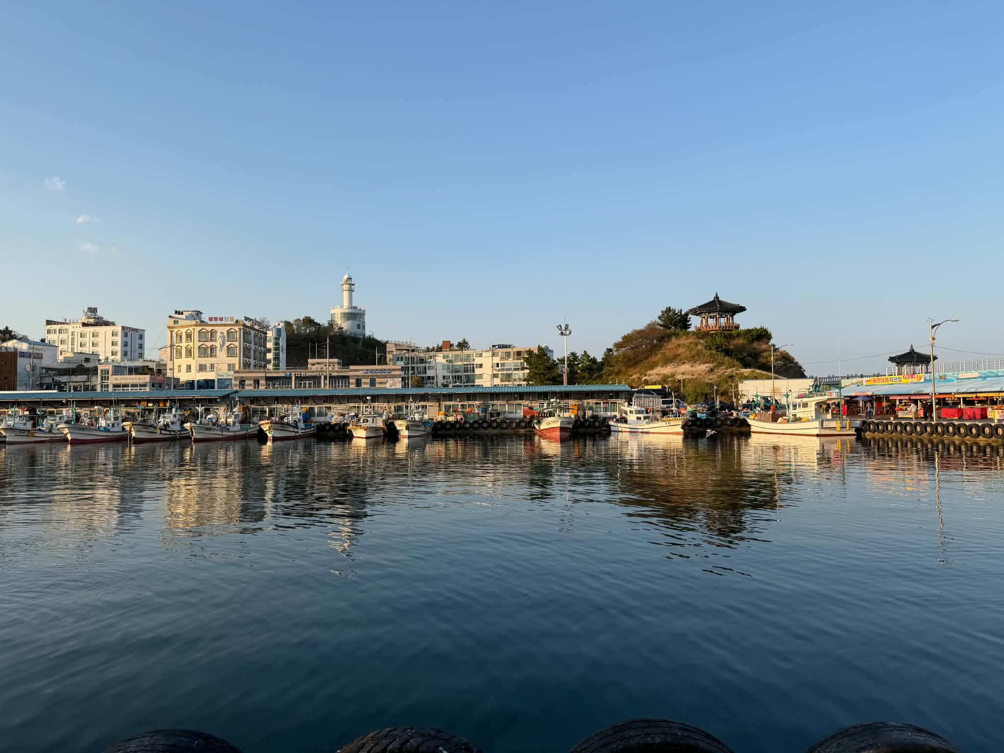 dongmyeong_seafood_center_oct2026_lukesoon_04